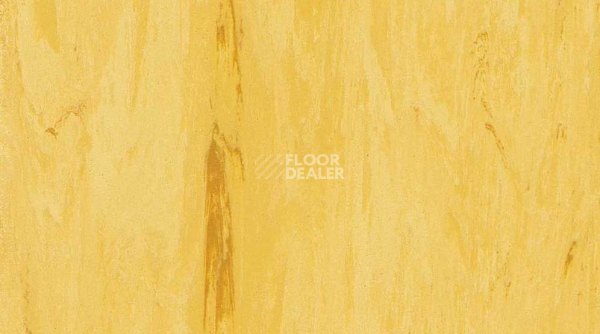Линолеум Gerflor Classic Imperial 2mm 0109 SUN фото 1 | FLOORDEALER